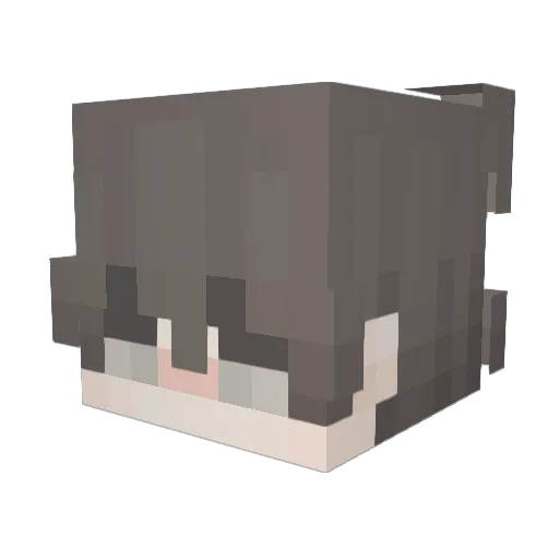vNIRO Minecraft avatar head, 3D render