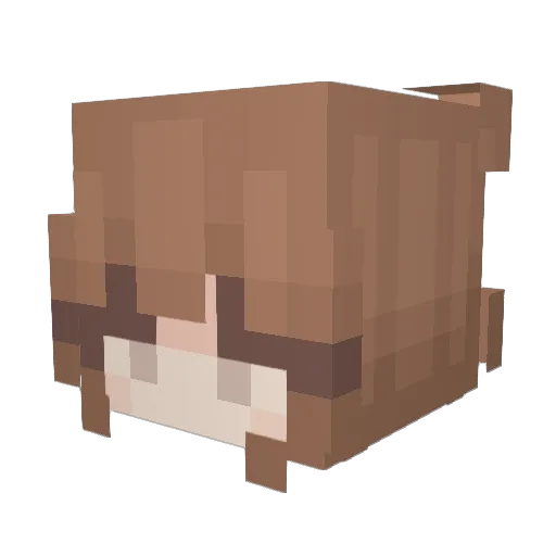 vPaula_ Minecraft avatar head, 3D render