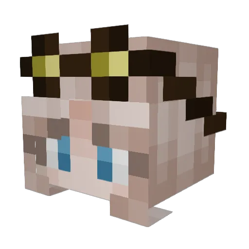 vRo_Ck Minecraft avatar head, 3D render