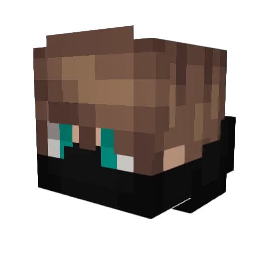 vSeabear Minecraft avatar head, 3D render