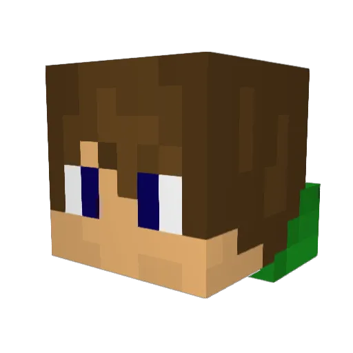 vShinyll Minecraft avatar head, 3D render