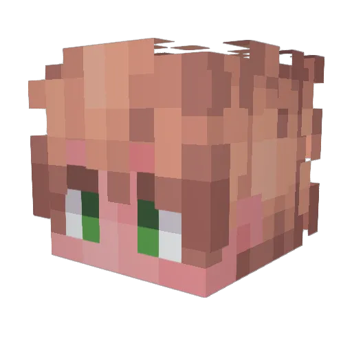 vShinzou_ Minecraft avatar head, 3D render