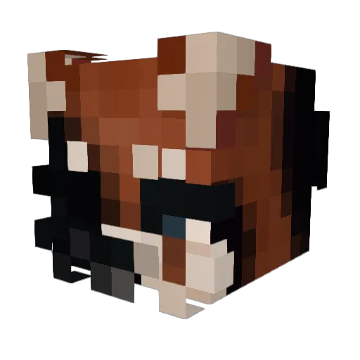 vSourr Minecraft avatar head, 3D render