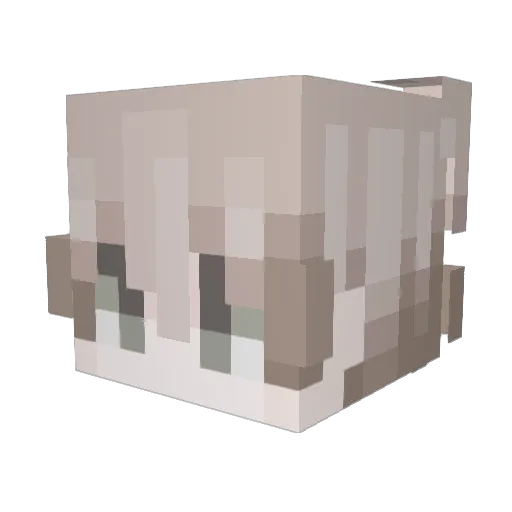 vSpinetta Minecraft avatar head, 3D render