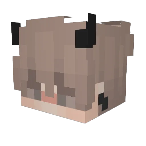 vSub Minecraft avatar head, 3D render