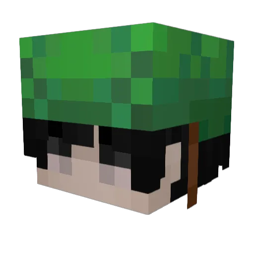 vTurtles Minecraft avatar head, 3D render