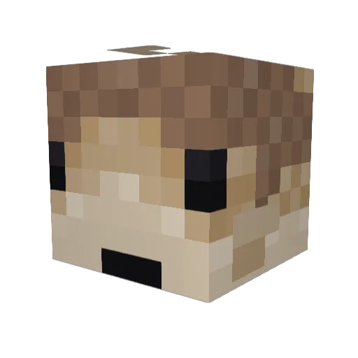 vVizca Minecraft avatar head, 3D render