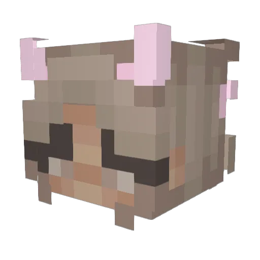 vZoee Minecraft avatar head, 3D render