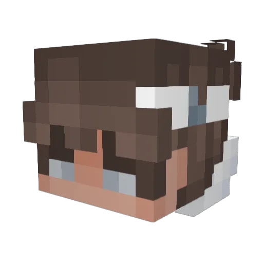 v_Asher Minecraft avatar head, 3D render