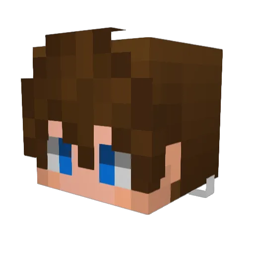 v_Foxer Minecraft avatar head, 3D render