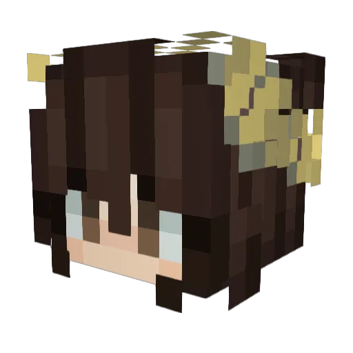 v_vokken Minecraft avatar head, 3D render