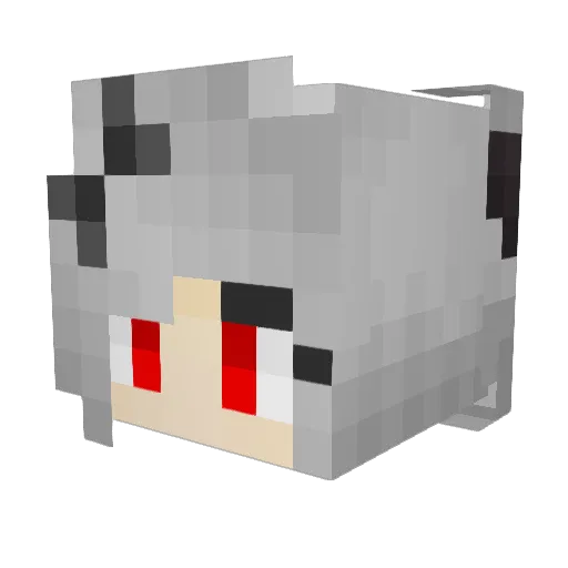 v_you_hun_v Minecraft avatar head, 3D render