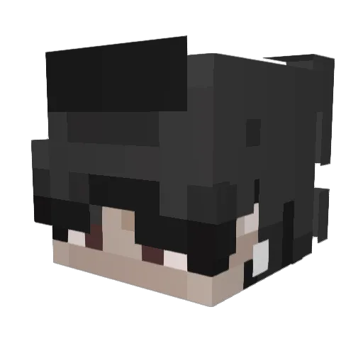 va5q Minecraft avatar head, 3D render