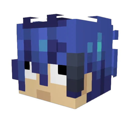 vaLQuis111 Minecraft avatar head, 3D render