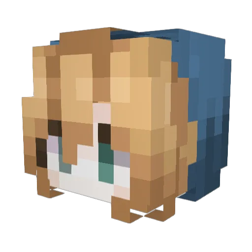 vaayas Minecraft avatar head, 3D render