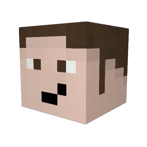 vabeachdad Minecraft avatar head, 3D render