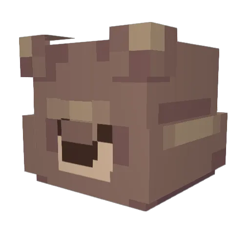 vacation_ Minecraft avatar head, 3D render