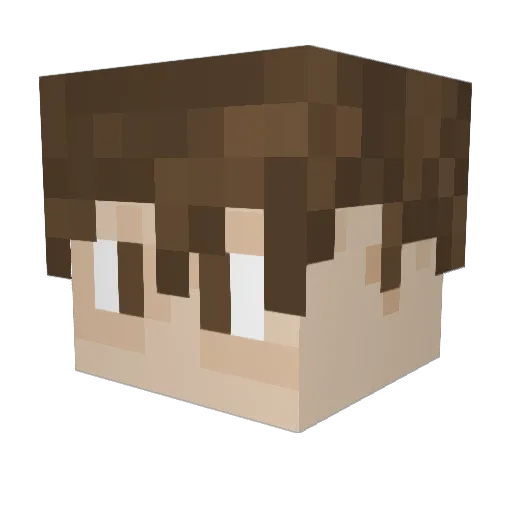 vadder1112 Minecraft avatar head, 3D render