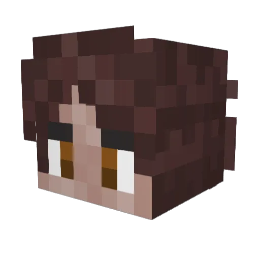 vaes_chan Minecraft avatar head, 3D render