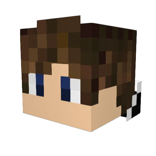 vaevictis_13 Minecraft avatar head, 3D render