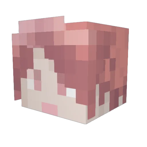 vaexs Minecraft avatar head, 3D render