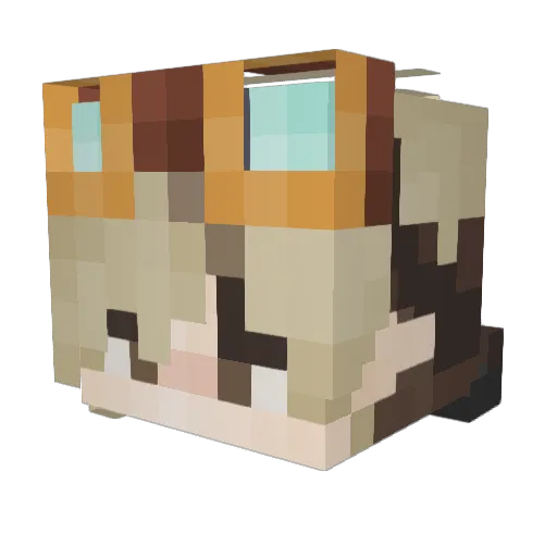 vaguelypresent Minecraft avatar head, 3D render