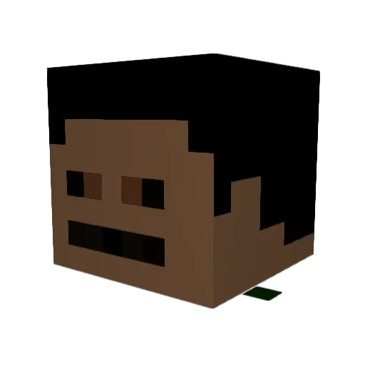 vaguertick9055 Minecraft avatar head, 3D render