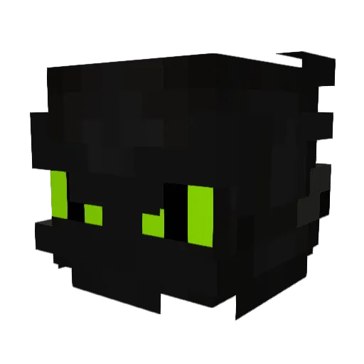 vaichorarbb Minecraft avatar head, 3D render