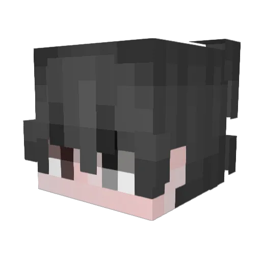vailan Minecraft avatar head, 3D render