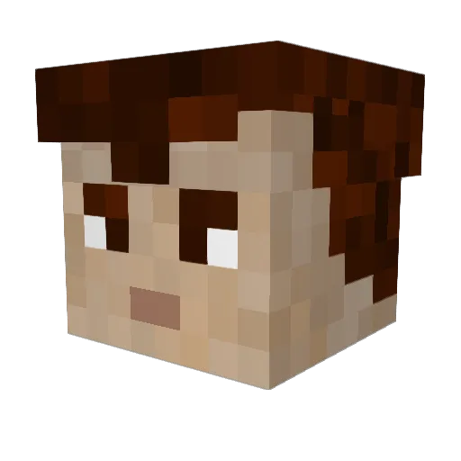 vailant Minecraft avatar head, 3D render