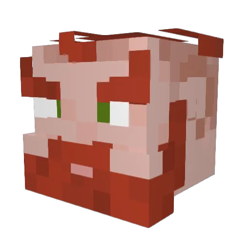 vainur Minecraft avatar head, 3D render