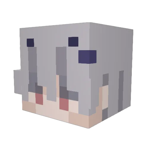 vaixd0 Minecraft avatar head, 3D render