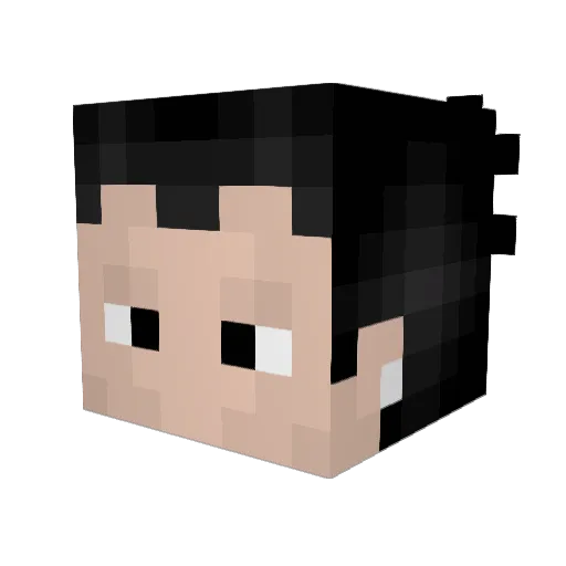 vaizu07 Minecraft avatar head, 3D render