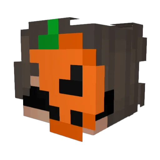 vajixx Minecraft avatar head, 3D render
