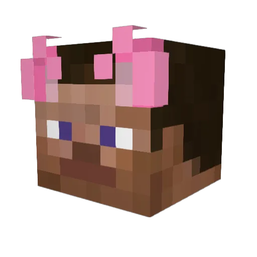 vajt Minecraft avatar head, 3D render