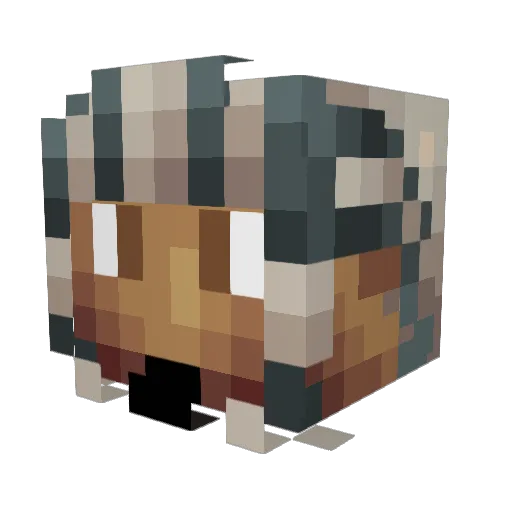 vakgly Minecraft avatar head, 3D render