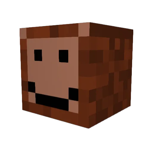vaki11 Minecraft avatar head, 3D render