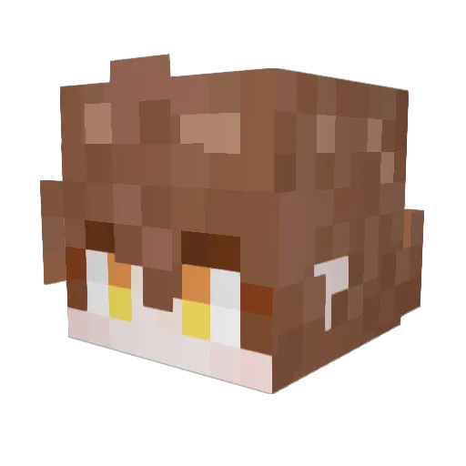 val_bear Minecraft avatar head, 3D render