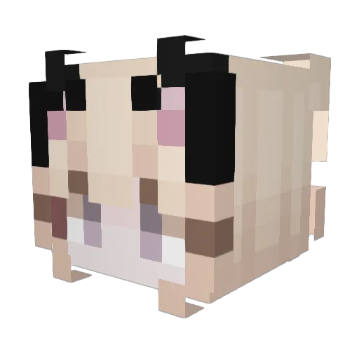 val_miau Minecraft avatar head, 3D render