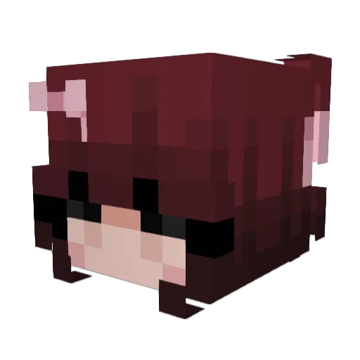 valagostino Minecraft avatar head, 3D render