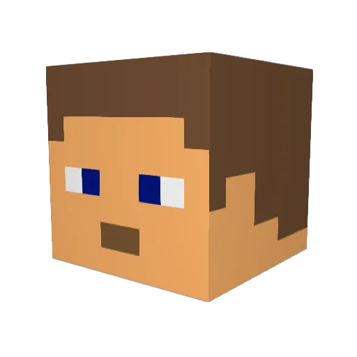 valbruch99 Minecraft avatar head, 3D render