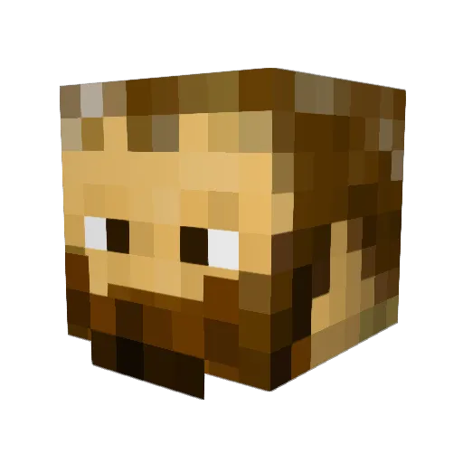 valcore555 Minecraft avatar head, 3D render
