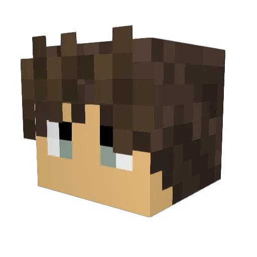vald0431 Minecraft avatar head, 3D render