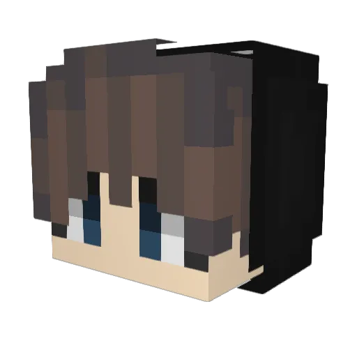 valdisss Minecraft avatar head, 3D render