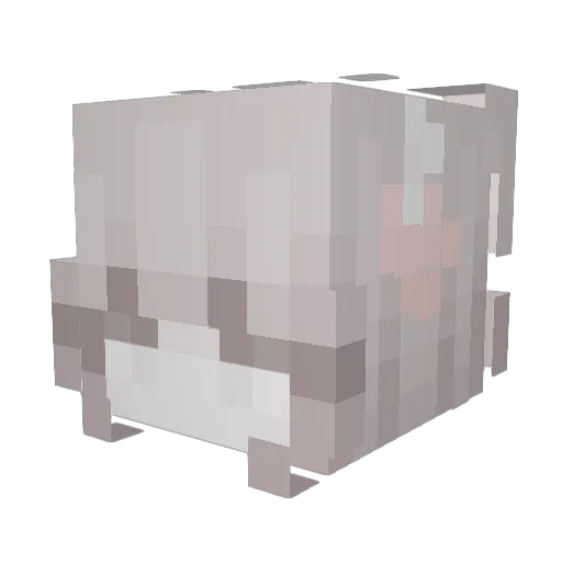 valdrox25 Minecraft avatar head, 3D render