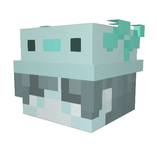 valecas Minecraft avatar head, 3D render