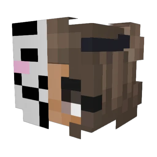 valeloesje Minecraft avatar head, 3D render