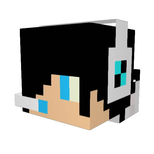 valentin242000 Minecraft avatar head, 3D render