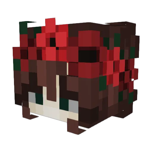 valentyne40 Minecraft avatar head, 3D render