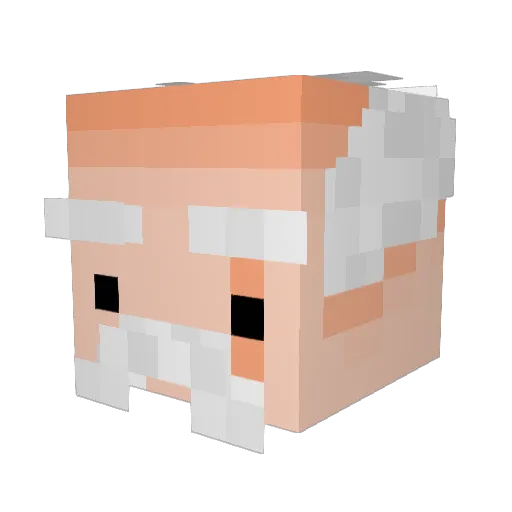 valer0nnn Minecraft avatar head, 3D render
